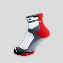 ipsocks1 ipsocks1